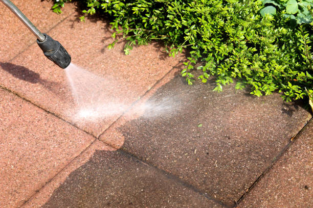 Best House Pressure Washing  in Wyandotte, MI